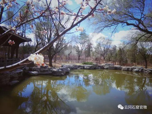 from clipboard from clipboard