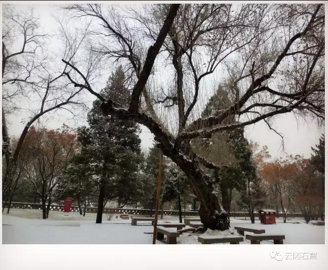 from clipboard from clipboard