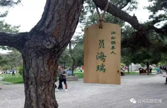 from clipboard from clipboard