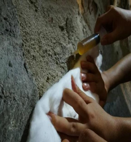 from clipboard from clipboard