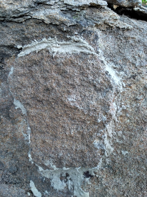 from clipboard from clipboard