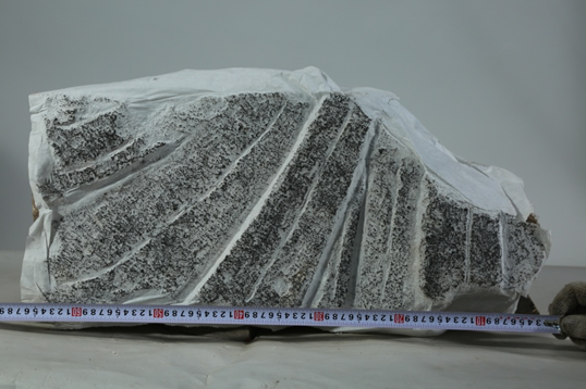 from clipboard from clipboard