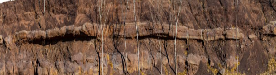 from clipboard from clipboard