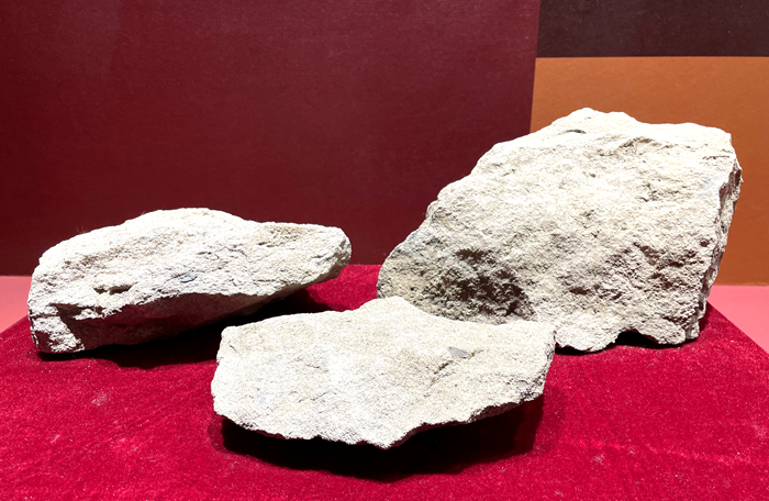 from clipboard from clipboard