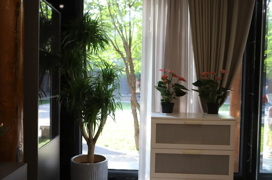 from clipboard from clipboard